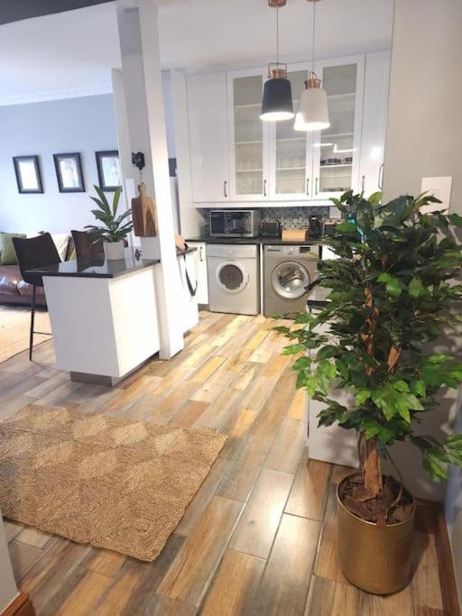 Cape Town, Sea Point, Beautiful 2 Bedroom Apartment @Tucked Away Ngoại thất bức ảnh